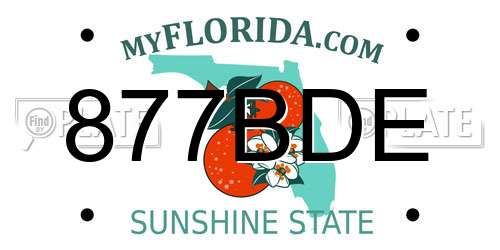 877BDE Florida License Plate