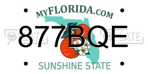 877BQE Florida License Plate