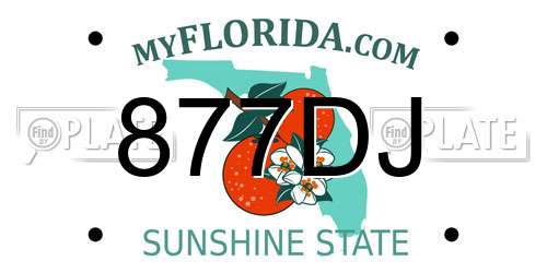 877DJ Florida License Plate