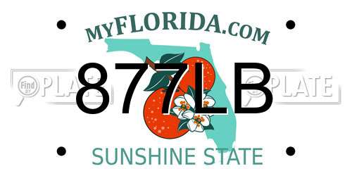 877LB Florida License Plate