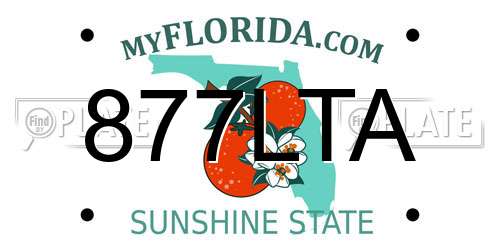 877LTA Florida License Plate