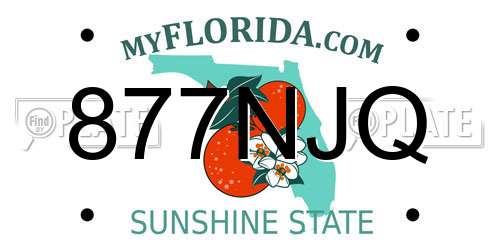 877NJQ Florida License Plate