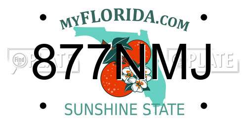 877NMJ Florida License Plate