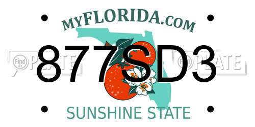 877SD3 Florida License Plate