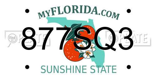 877SQ3 Florida License Plate