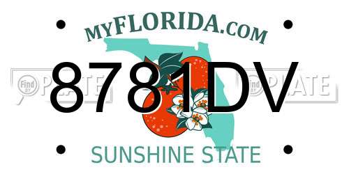8781DV Florida License Plate