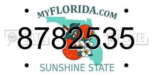 8782535 Florida License Plate