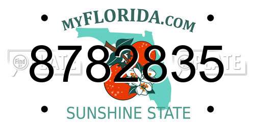 8782835 Florida License Plate
