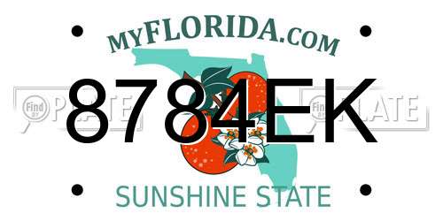 8784EK Florida License Plate