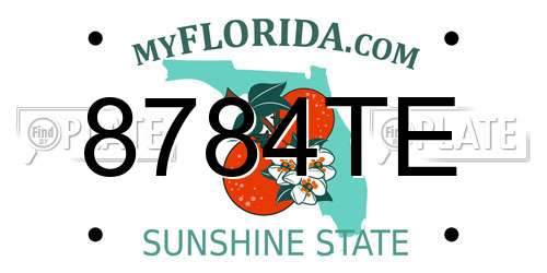 8784TE Florida License Plate