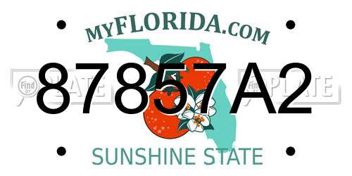 87857A2 Florida License Plate