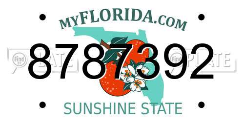 8787392 Florida License Plate