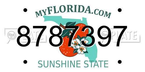 8787397 Florida License Plate