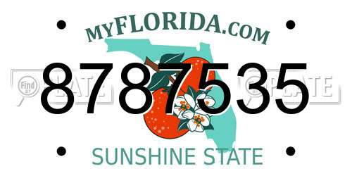 8787535 Florida License Plate