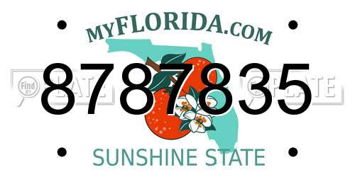 8787835 Florida License Plate