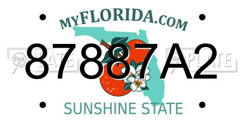 87887A2 Florida License Plate