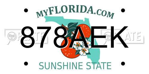 878AEK Florida License Plate