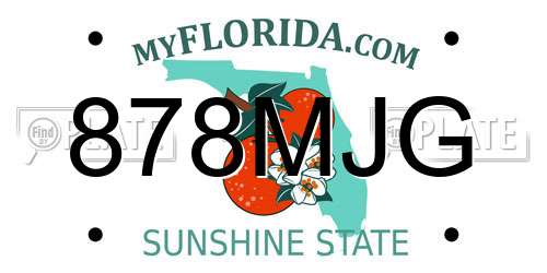878MJG Florida License Plate