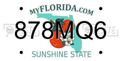 878MQ6 Florida License Plate