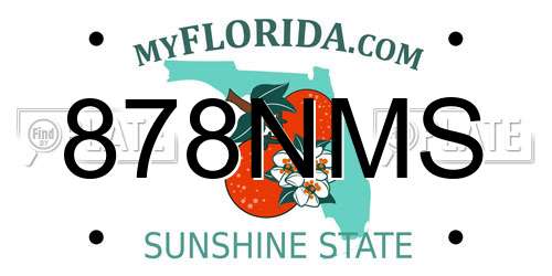 878NMS Florida License Plate