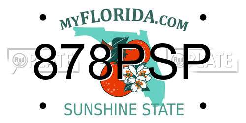 878PSP Florida License Plate