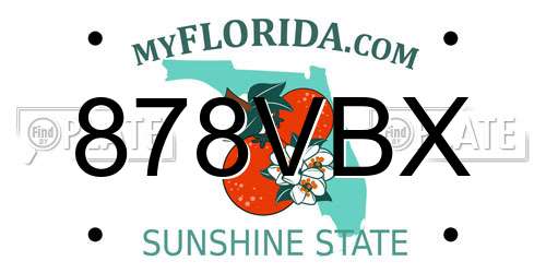 878VBX Florida License Plate