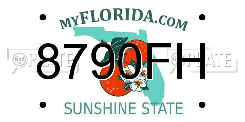 8790FH Florida License Plate