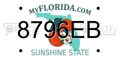 8796EB Florida License Plate