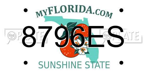 8796ES Florida License Plate