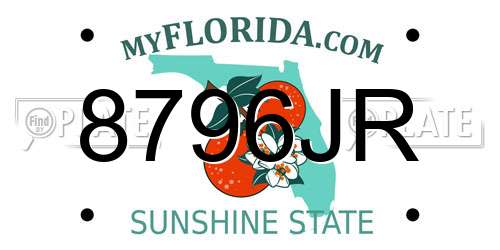 8796JR Florida License Plate