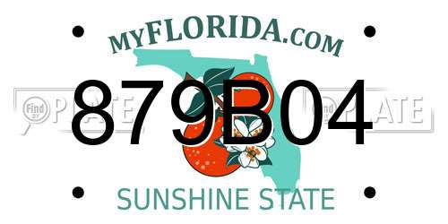879B04 Florida License Plate