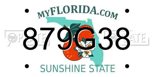 879G38 Florida License Plate