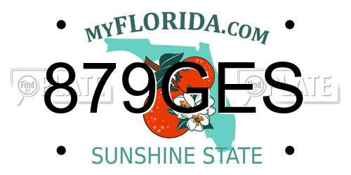 879GES Florida License Plate