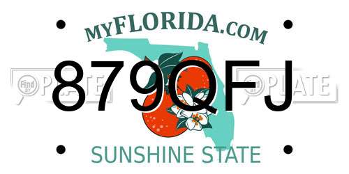 879QFJ Florida License Plate