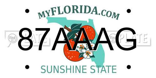 87AAAG Florida License Plate