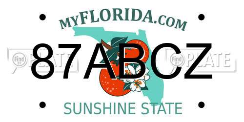 87ABCZ Florida License Plate