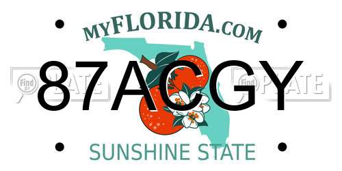 87ACGY Florida License Plate