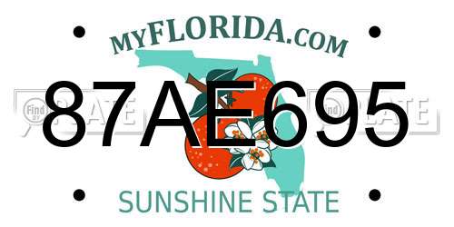87AE695 Florida License Plate