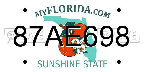 87AE698 Florida License Plate