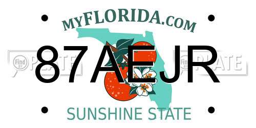 87AEJR Florida License Plate