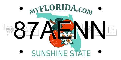 87AENN Florida License Plate