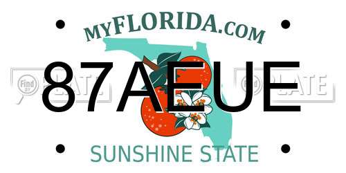 87AEUE Florida License Plate