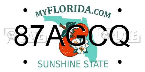 87AGCQ Florida License Plate