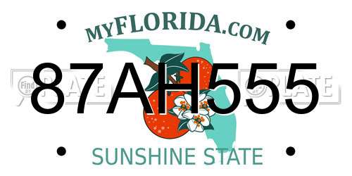 87AH555 Florida License Plate