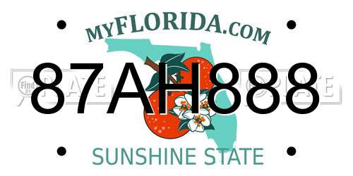 87AH888 Florida License Plate