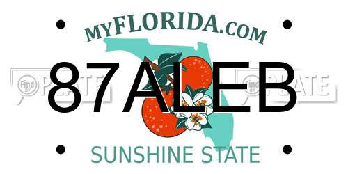87ALEB Florida License Plate