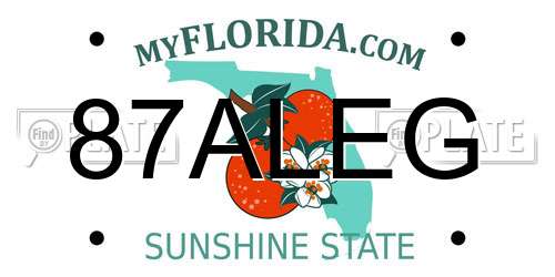 87ALEG Florida License Plate