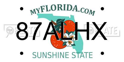 87ALHX Florida License Plate