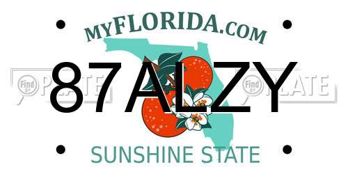 87ALZY Florida License Plate