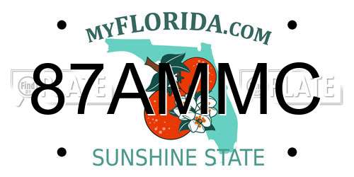 87AMMC Florida License Plate